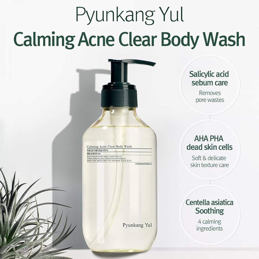 [PyunkangYul] Calming Acne Clear Body Wash 290ml