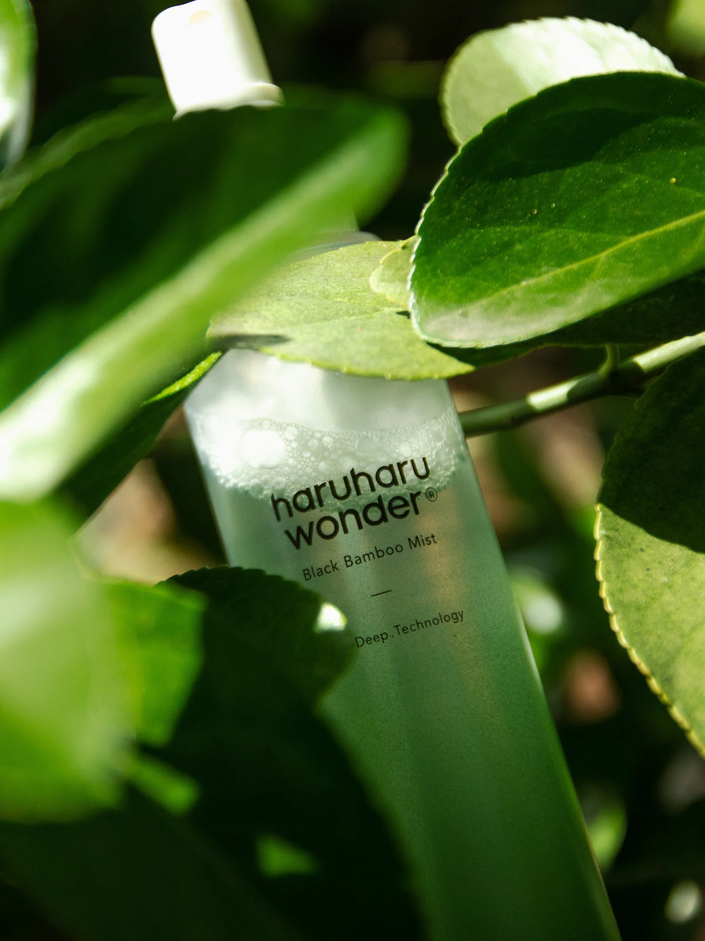[haruharuwonder] Black Bamboo Mist 150ml